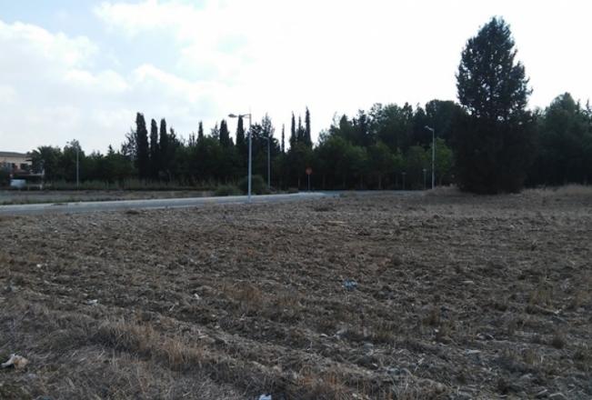 Strovolos Elaionon – Gardens
